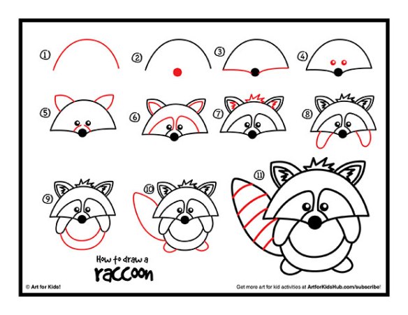 how-to-draw-a-raccoon